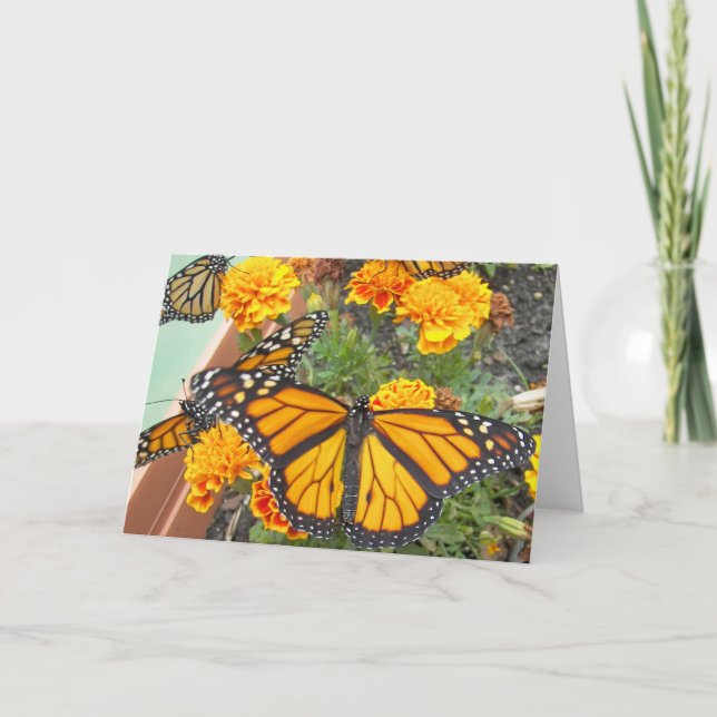 Mes cartes de vœux Papillons Monarques (Devant)
