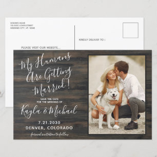 Mes humains se marient Mariage photo chien animal