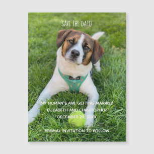 Mes humains se marient Photo Enregistrez la date