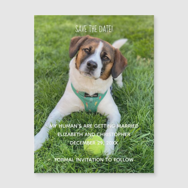 Mes humains se marient Photo Enregistrez la date (Devant)