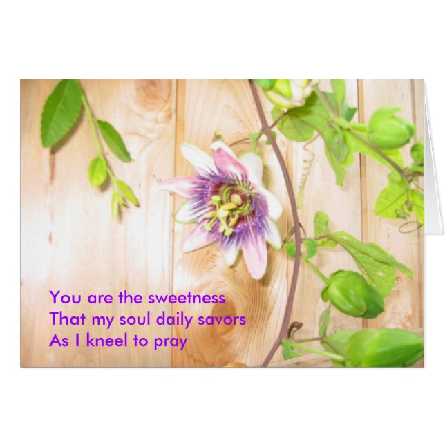 Mes salopes quotidiennes (Devant horizontal)