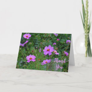 Message de Merci de Fleur de Cosmos Rose