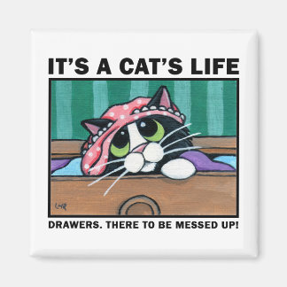 Messy Drawers v.01 - It's A Cat's Life Magnet
