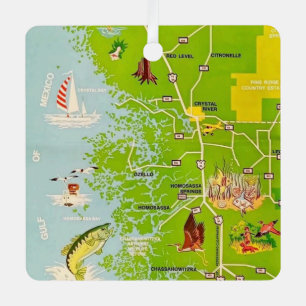 Métal Ornement de carte vintage du comté de Citrus en Fl