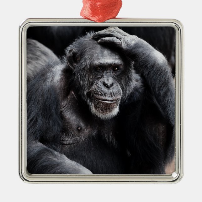 Métallique Ancien ornement chimpanzé (Devant)