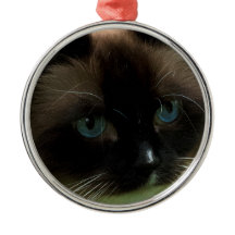 Bel ornement de chat de Ragdoll