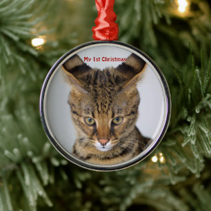 Métallique Chat d'argent Mon premier ornement photo de Noël