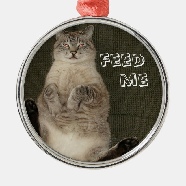 Métallique Chat "FEED ME" Ornement (Devant)
