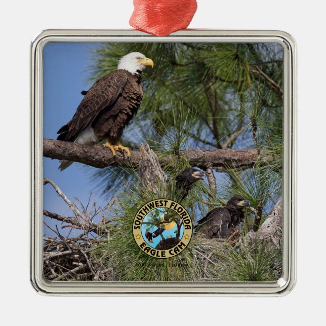 Métallique E10 E11 et ornement de vacances de famille (Devant)