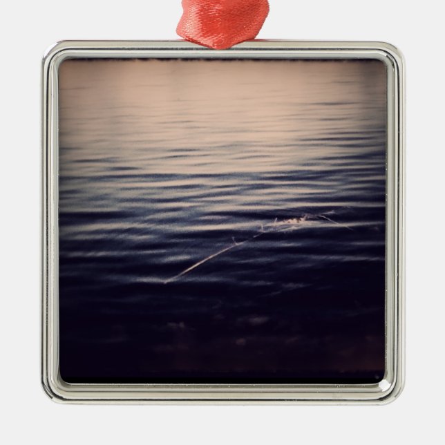 Métallique Ornement 2 de WaterPeace (Devant)