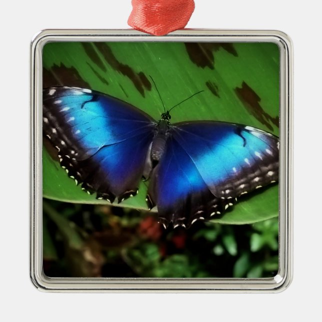 Métallique Ornement bleu de Noël de papillon (Devant)