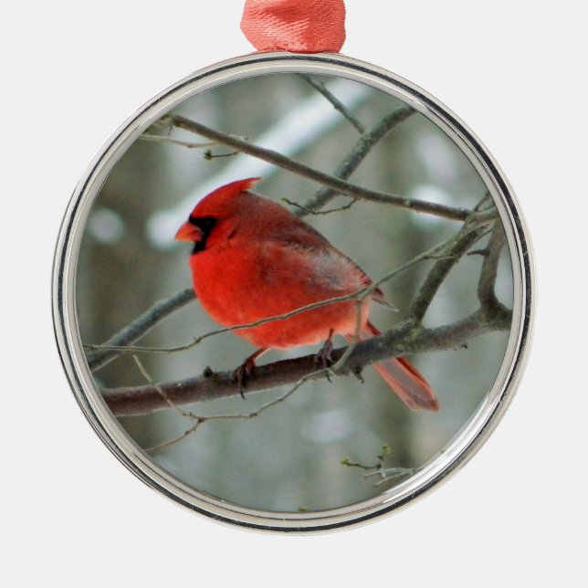 Métallique Ornement Cardinal Rouge Premium (Devant)