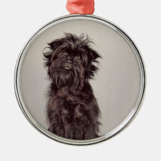 Métallique Ornement d'Affenpinscher