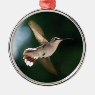 Métallique Ornement d'amant de colibri