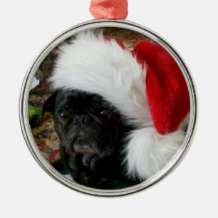 Métallique Ornement de carlin