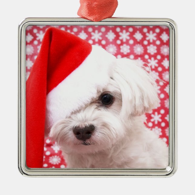 Métallique Ornement de chien de Noël (Devant)