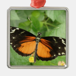 Métallique Ornement de papillon long tigre