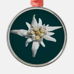 Métallique Ornement d'edelweiss
