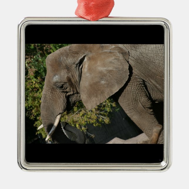 Métallique Ornement d'éléphant (Devant)