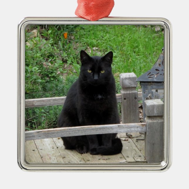 Métallique Ornement du pont de chat noir (Devant)