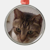 Ornement rond de la meilleure qualité de chat