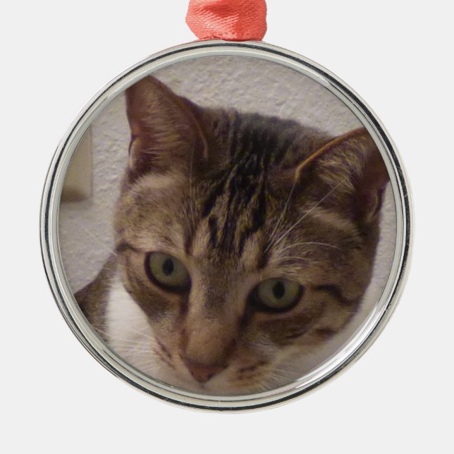 Métallique Ornement rond de la meilleure qualité de chat (Devant)