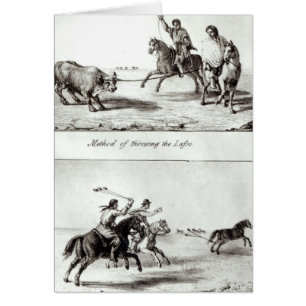 Méthodes de Jeter le Lasso et les Bolas
