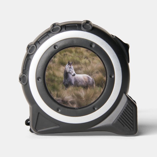 Mètre Ruban Beau cheval gris (Recto)
