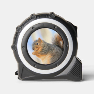 Mètre Ruban Furball d'aujourd'hui