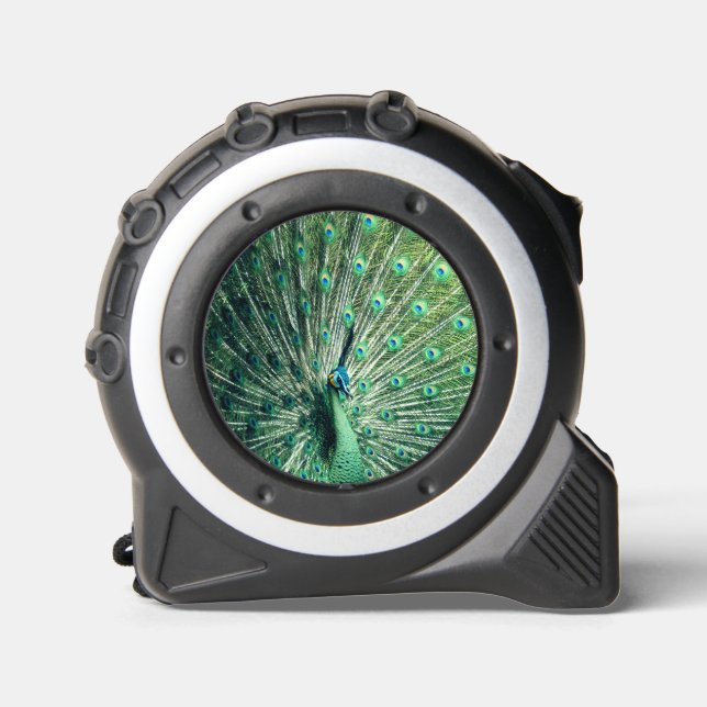 Mètre Ruban Strut Peacock (Recto)
