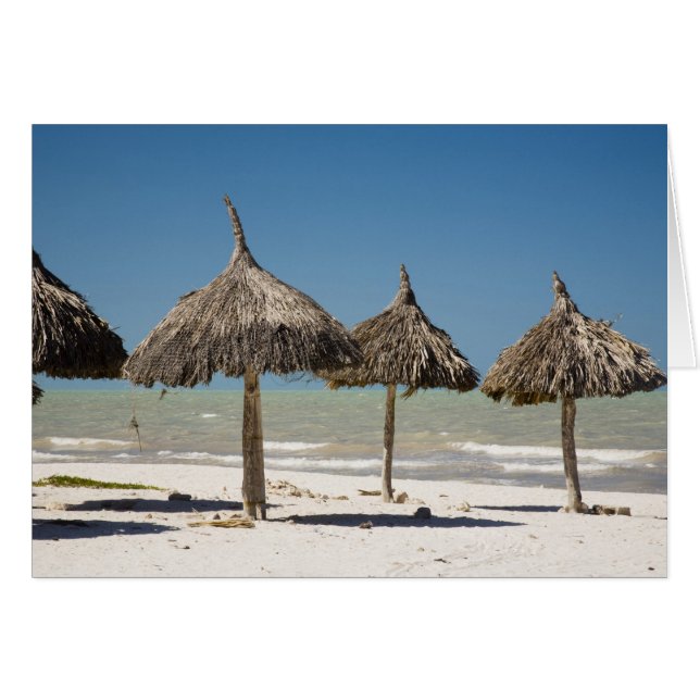 Mexique, péninsule du Yucatan, Progreso. Chaume (Devant horizontal)