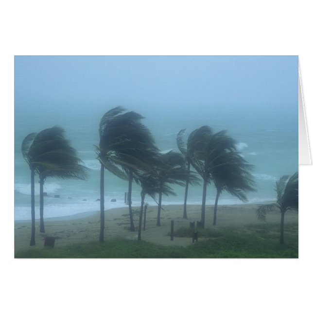 Miami Beach, Floride, vents d'ouragan fouettant (Devant horizontal)