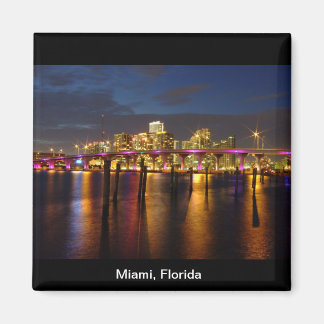 Miami Florida Skyline au Night Magnet