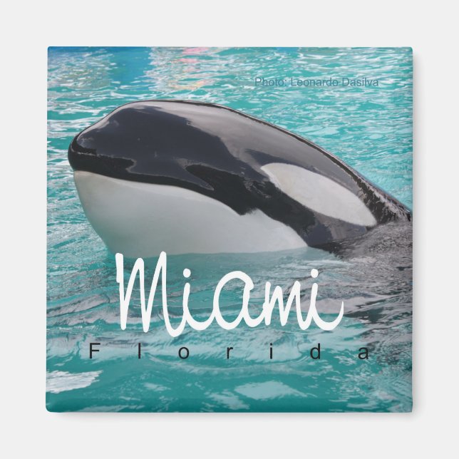 Miami Floride Orca Baleine Photo Fridge Magnet (Devant)