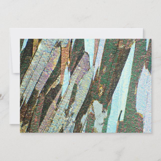 Mica Schist (Devant)