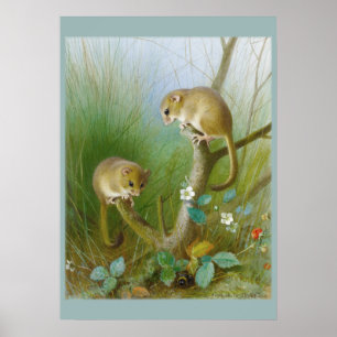 Mice CC0123 Poster de la chambre pour enfants
