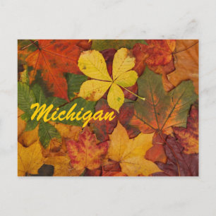 Michigan Autumn Leaves Carte postale