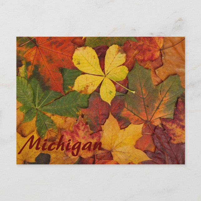 Michigan Colorée Feuilles d'automne carte postale (Devant)