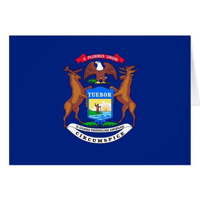 Michigan State Flag Design (Devant horizontal)