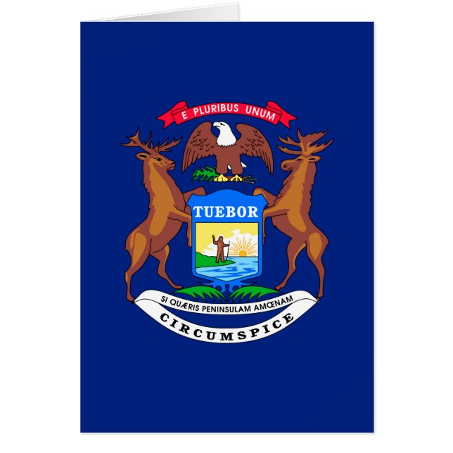 Michigan State Flag Design (Devant)