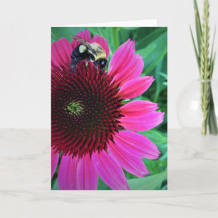 Miel Abeille Sur Coneflower, carte