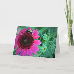 Miel Abeille Sur Coneflower, carte