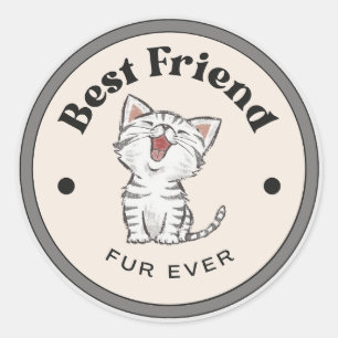 MIEUX ! Stickers - Meilleur Ami Fourrure Ever - Ki