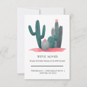 mignon Cactus déménagement à domicile