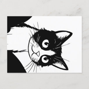 mignon chat noir carte postale