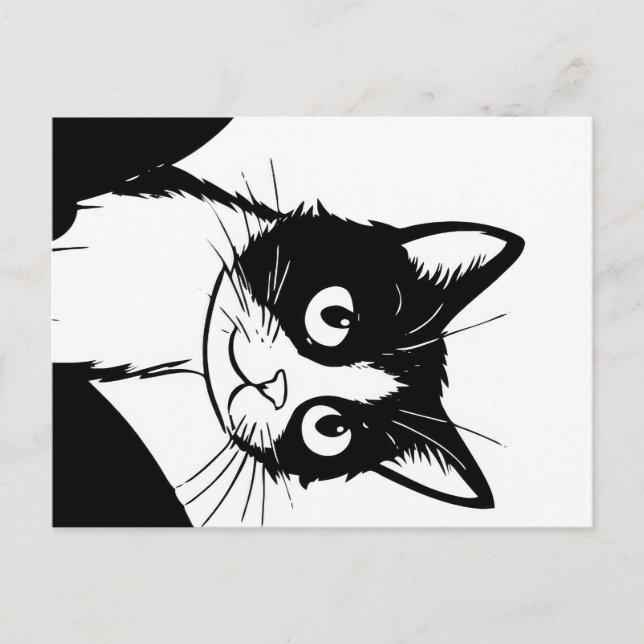 mignon chat noir carte postale (Devant)