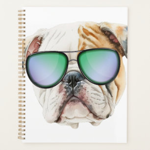Mignon chien anglais avec lunettes de soleil, Gros