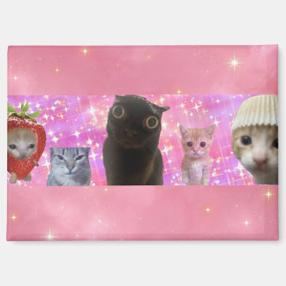 mignon drôle éthéré mème chatte scintillant aimant