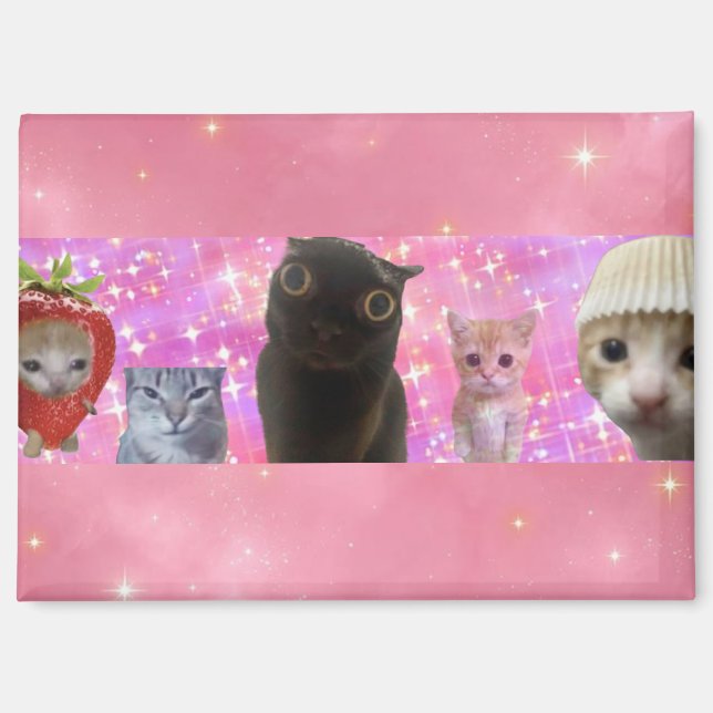 mignon drôle éthéré mème chatte scintillant aimant (Recto)