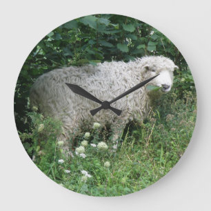 Mignonne Blanc Fluffeux Manger Manger Mur Horloge